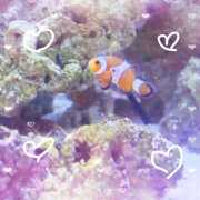 ヒメ日記 2025/01/31 10:07 投稿 えみね 大人の遊園地 西川口店