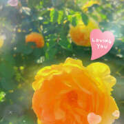 ヒメ日記 2025/05/11 08:59 投稿 えみね 大人の遊園地 西川口店