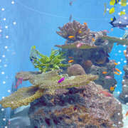 ヒメ日記 2025/05/29 13:05 投稿 えみね 大人の遊園地 西川口店