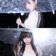 ヒメ日記 2025/11/21 09:52 投稿 めるな パリス雄琴店