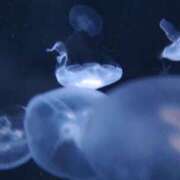 ヒメ日記 2024/12/20 15:34 投稿 ゆいか One More奥様　蒲田店