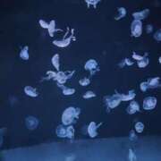 ヒメ日記 2024/12/27 17:49 投稿 ゆいか One More奥様　蒲田店