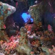 ヒメ日記 2025/02/08 02:14 投稿 ゆいか One More奥様　蒲田店