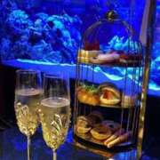 ヒメ日記 2025/05/19 00:44 投稿 ゆいか One More奥様　蒲田店