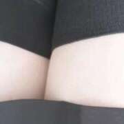 ヒメ日記 2025/04/21 17:29 投稿 あお 大久保ハンドメイド