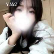 ゆあ おやすみ前に、ちょっとだけ報告です? 錦糸町ティラミス（シンデレラグループ）