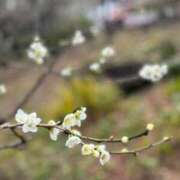 ヒメ日記 2025/03/17 08:43 投稿 まりあ 熟女の風俗最終章 相模原店