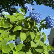 ヒメ日記 2025/06/09 22:01 投稿 まりあ 熟女の風俗最終章 相模原店