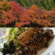 ヒメ日記 2025/11/21 08:33 投稿 まりあ 熟女の風俗最終章 相模原店