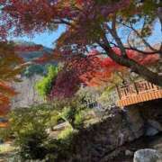 ヒメ日記 2025/11/27 08:50 投稿 まりあ 熟女の風俗最終章 相模原店