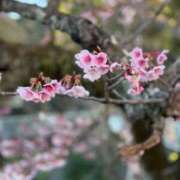 ヒメ日記 2026/01/25 08:44 投稿 まりあ 熟女の風俗最終章 相模原店