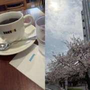 まりあ 終わっちゃう 熟女の風俗最終章 相模原店