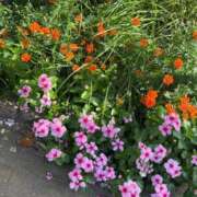 ヒメ日記 2025/10/10 08:20 投稿 まりあ 熟女の風俗最終章 町田店