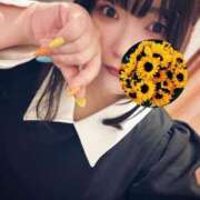 ヒメ日記 2025/02/26 04:06 投稿 ひまわり 熟女の風俗最終章 蒲田店