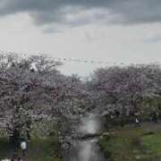 ヒメ日記 2025/03/29 19:35 投稿 まりこ 待ちナビ