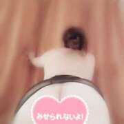 ヒメ日記 2025/04/15 12:28 投稿 まりこ 待ちナビ