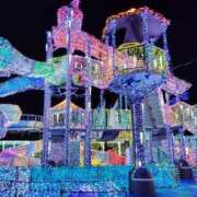 ヒメ日記 2025/11/18 12:50 投稿 まりこ 待ちナビ