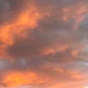 ヒメ日記 2025/04/13 12:10 投稿 ゆづき まじらぶ！