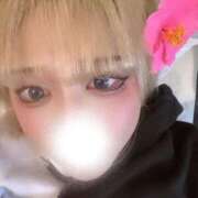 ヒメ日記 2025/03/13 09:16 投稿 らん G-STAGE