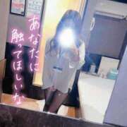 ヒメ日記 2025/05/15 10:01 投稿 くみ BAD COMPANY（バッドカンパニー）