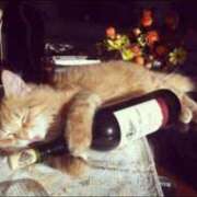 ヒメ日記 2025/02/05 09:09 投稿 上野 鶯谷デッドボール