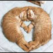 ヒメ日記 2025/02/06 17:22 投稿 上野 鶯谷デッドボール