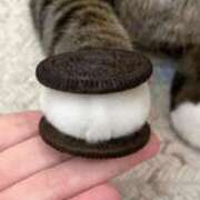 ヒメ日記 2025/02/14 09:15 投稿 上野 鶯谷デッドボール