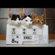 ヒメ日記 2025/03/11 08:59 投稿 上野 鶯谷デッドボール