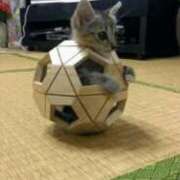 ヒメ日記 2025/04/06 17:59 投稿 上野 鶯谷デッドボール