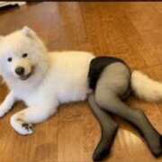 ヒメ日記 2025/05/24 09:19 投稿 上野 鶯谷デッドボール