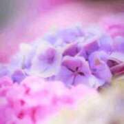 ヒメ日記 2025/11/06 23:49 投稿 上野 鶯谷デッドボール