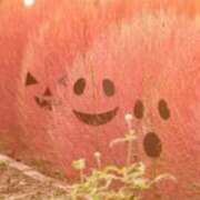 ヒメ日記 2026/01/21 15:29 投稿 上野 鶯谷デッドボール