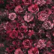 ヒメ日記 2026/01/30 14:49 投稿 上野 鶯谷デッドボール