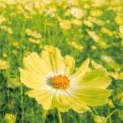 ヒメ日記 2026/02/11 16:05 投稿 上野 鶯谷デッドボール