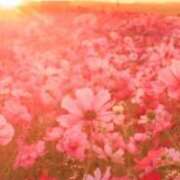 ヒメ日記 2026/02/28 11:00 投稿 上野 鶯谷デッドボール