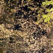 ヒメ日記 2026/04/06 19:49 投稿 上野 鶯谷デッドボール