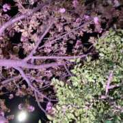 ヒメ日記 2026/04/08 15:29 投稿 上野 鶯谷デッドボール