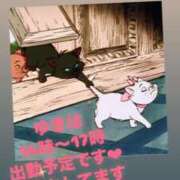 ヒメ日記 2025/03/31 11:49 投稿 ゆきは チェックイン素人専門大人女子