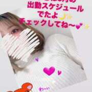 ヒメ日記 2025/04/28 22:39 投稿 ゆきは チェックイン素人専門大人女子