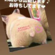 ヒメ日記 2025/05/05 12:49 投稿 ゆきは チェックイン素人専門大人女子