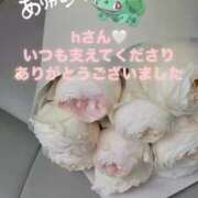 ヒメ日記 2025/05/18 23:18 投稿 ゆきは チェックイン素人専門大人女子