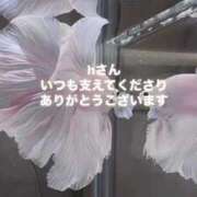 ヒメ日記 2025/05/23 05:49 投稿 ゆきは チェックイン素人専門大人女子