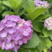 ヒメ日記 2025/06/06 20:53 投稿 もえか パイセン