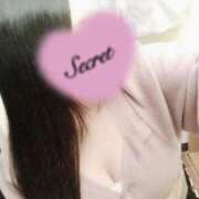 ヒメ日記 2025/04/12 18:05 投稿 ちい 山梨甲府甲斐ちゃんこ