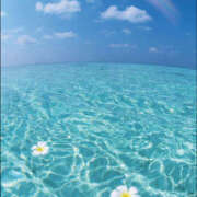 あかり 明日出勤します(*^^*) 完熟ばなな川崎