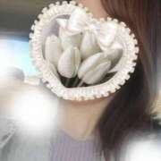 ヒメ日記 2025/03/11 06:36 投稿 Maya ワンカラット～人妻の輝き～