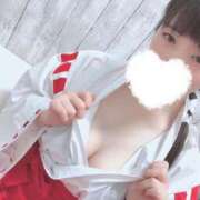 ヒメ日記 2025/01/01 14:18 投稿 ほんわかする『とき』 ESSENCE