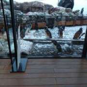 ヒメ日記 2025/01/04 16:15 投稿 ほんわかする『とき』 ESSENCE