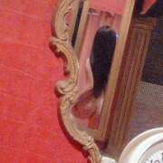 ヒメ日記 2025/01/19 10:16 投稿 ほんわかする『とき』 ESSENCE