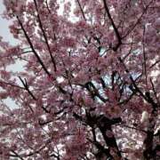 ヒメ日記 2025/03/19 19:25 投稿 ほんわかする『とき』 ESSENCE